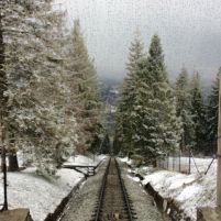 IMG_5375