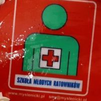 dzien_wolontariusza_1