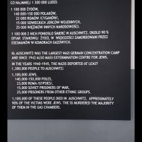 2021-11-22_Auschwitz_11