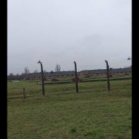 2021-11-22_Auschwitz_8
