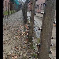 2021-11-22_Auschwitz_9