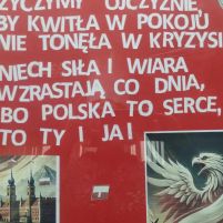 2024-11-12_dzień_patrioty_11