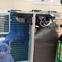 IMG_20241213_093705